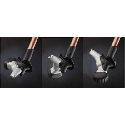 Pointes de bâtons Swix marche nordic