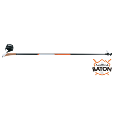 Swix CT3 Carbon Twist and Go 2018