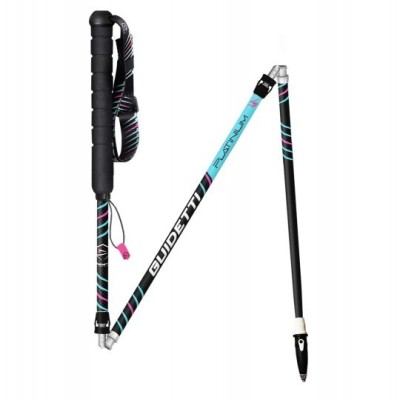 Guidetti Platinium Aero Pulse 2022