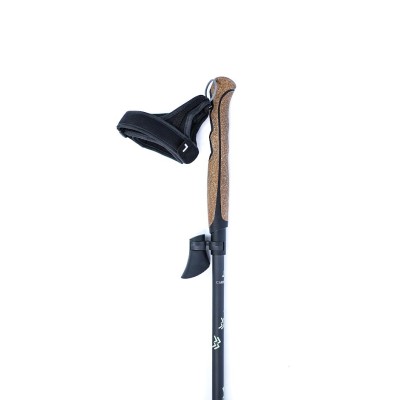 Bâtons marche nordique Lacal 100 Stick Carbon