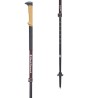 Black Diamond Alpine Carbon 2020
