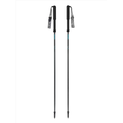 Gabel - Carbon Feather-R