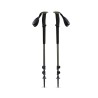 Black Diamond - Trail Trekking Poles Pine Smoke, bâton randonnée